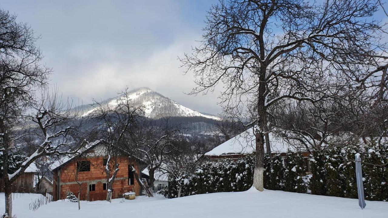 Casa Mea De Vacanta Baia-Sprie Eksteriør bilde